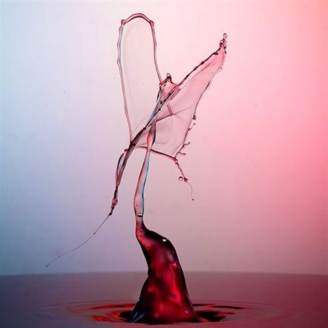 Miops Remote Expert Pack für Canon C2